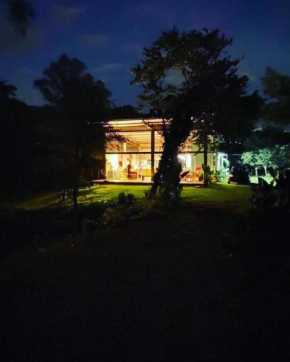 Casa de Vidro cercada por Araucárias